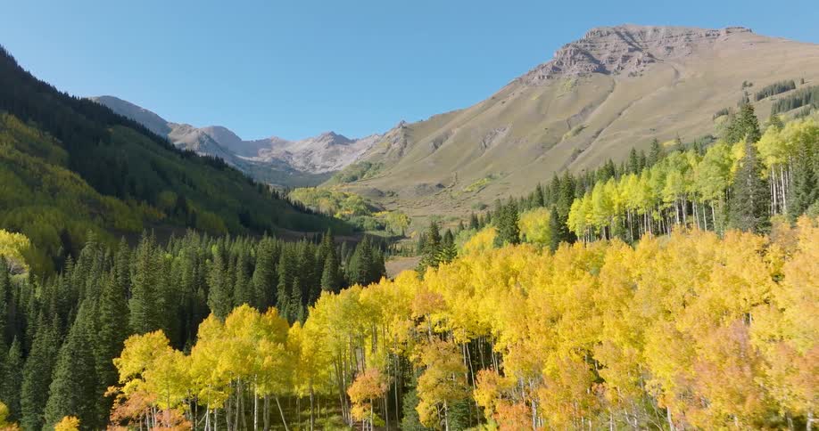 Aerial panorama of green and yellow conifers of different shades with mountains around