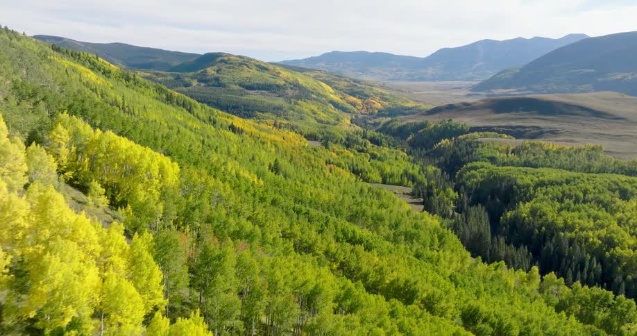 The valley is covered with mountains and trees