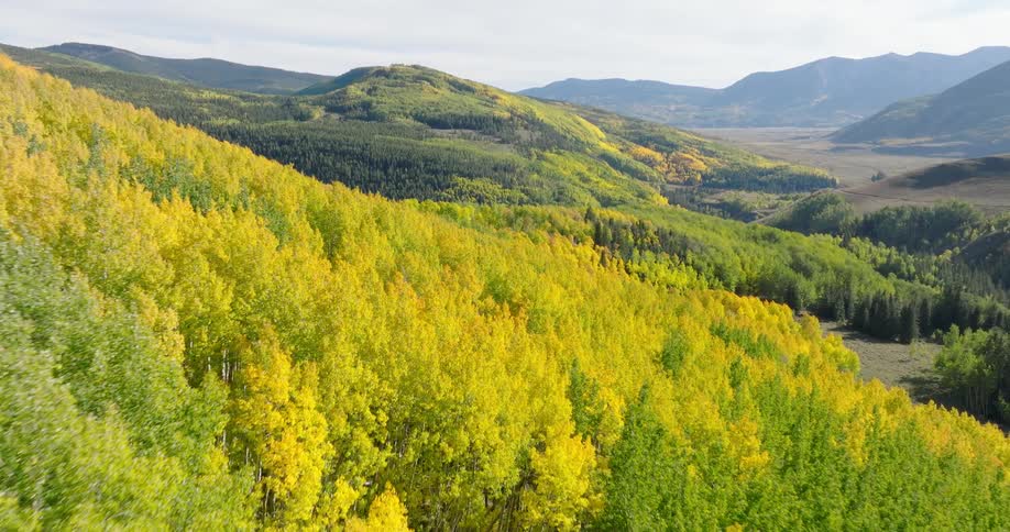 Aerial of a deciduous forest in a mountain range on an autumn day