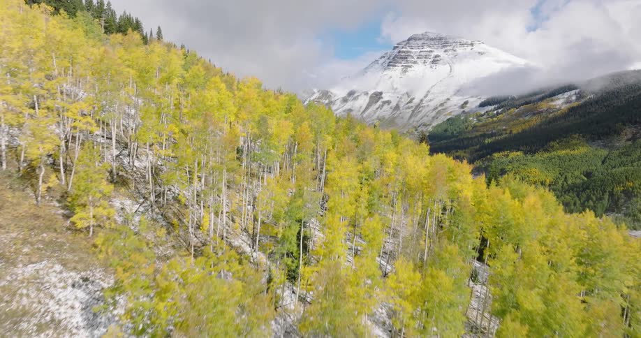Aerial of a deciduous forest in a mountain range on a cloudy autumn day