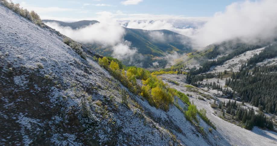 A mountainside with patches of snow and a grove of yellow aspens with mountains and clouds in the background