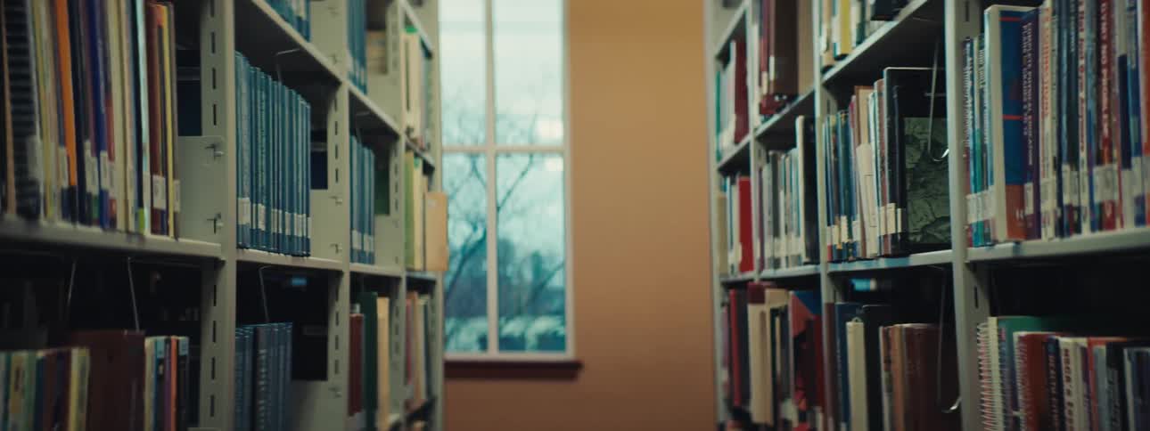 Rows of books on shelves inside a library with vehicles parked outside a window
