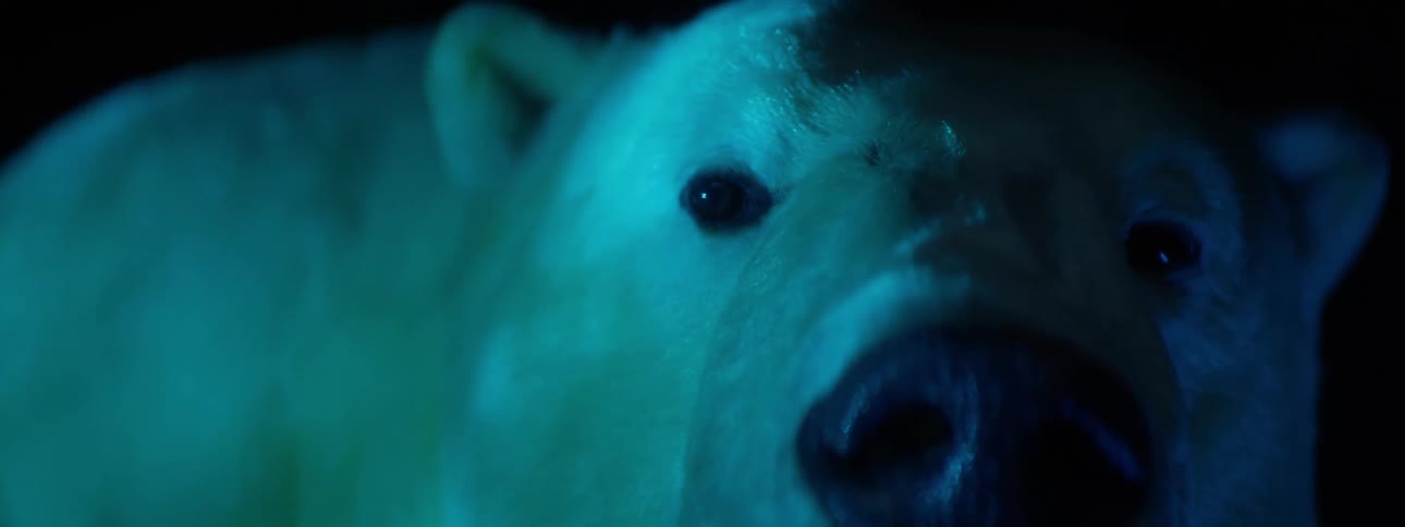 A taxidermy polar bear is shown close up in blue light