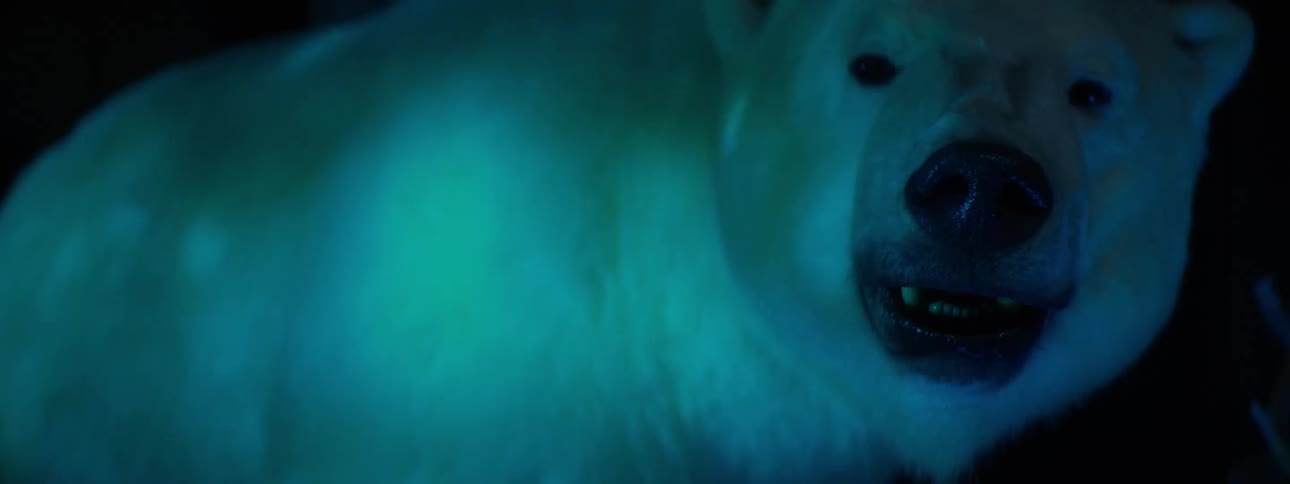 Artistic polar bear in a lowlight indoor space