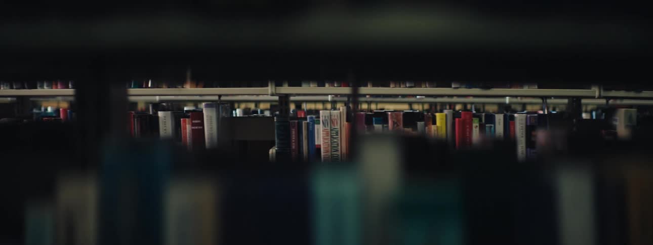 Books fill parallel bookshelves in a public library