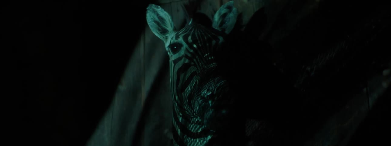 Head of an artistic zebra on a wall in a dark room