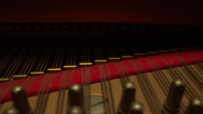 The inside of a piano with the strings and soundboard visible
