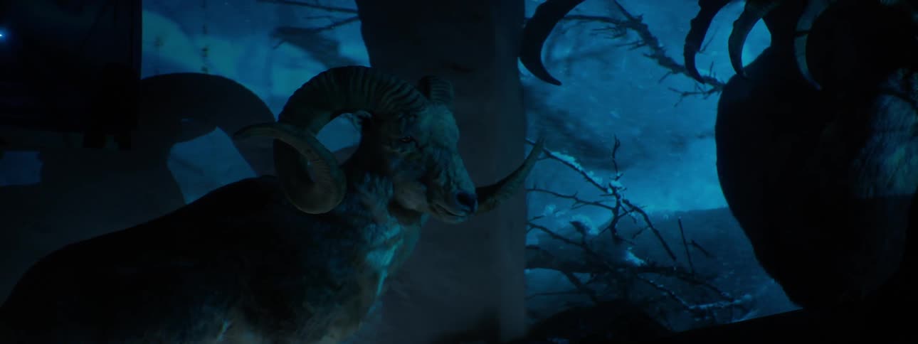 A taxidermized ram with large horns is displayed in a dark forested exhibit