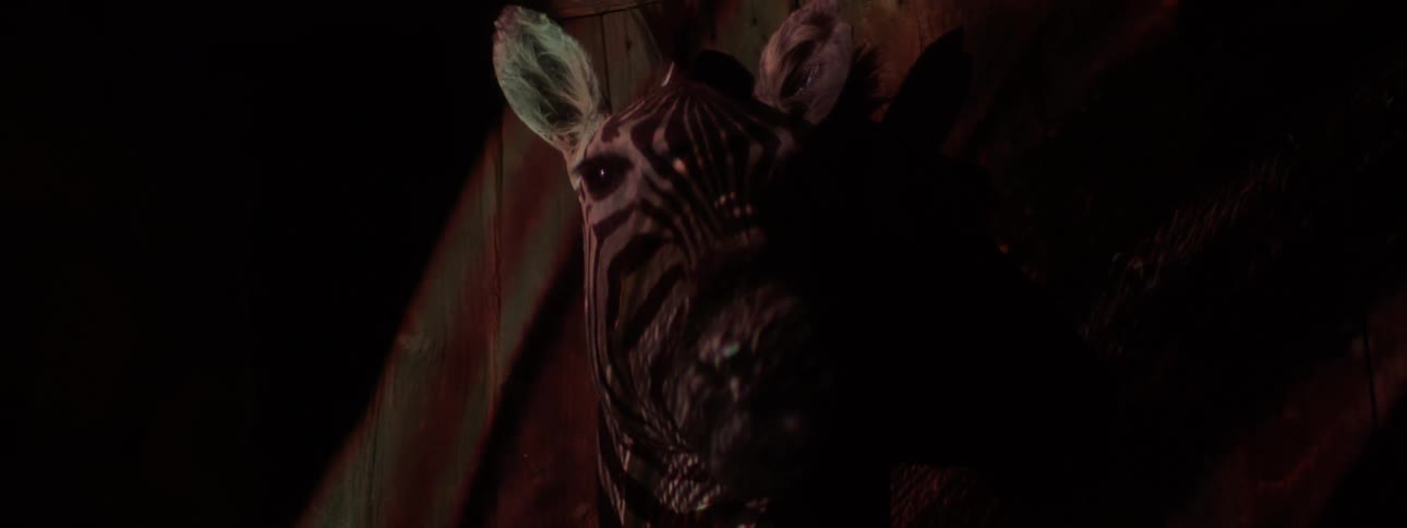 Closeup of an artistic zebras head in a dark space