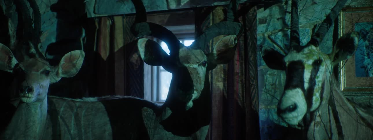 Animal art in a lowlight indoor space