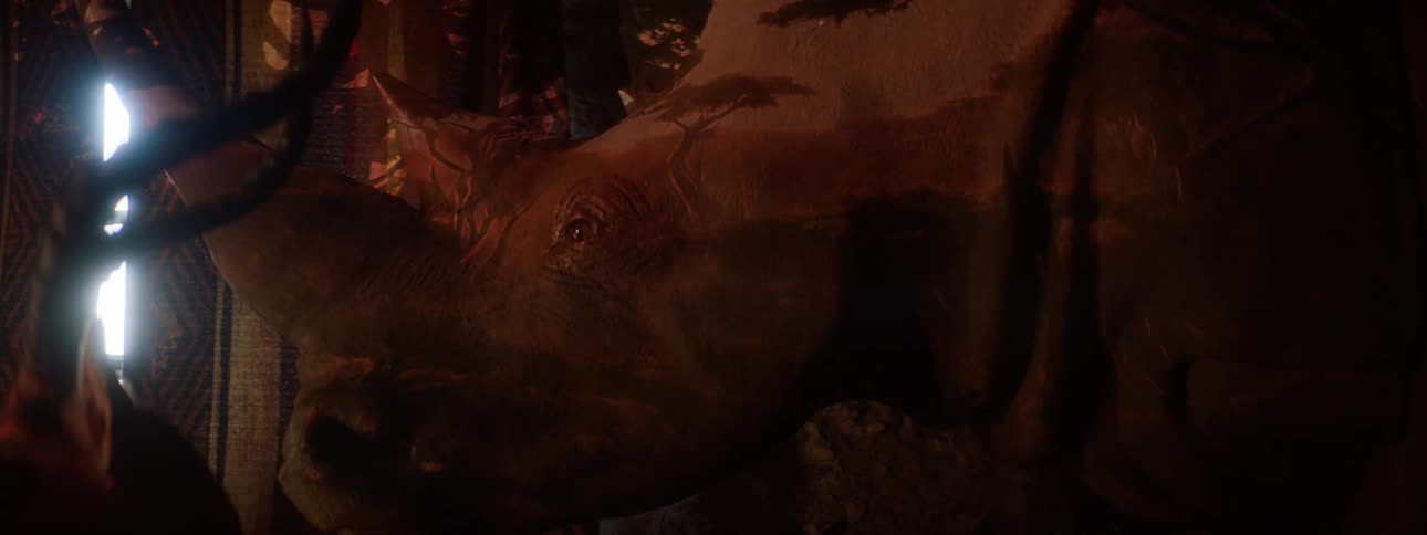 A closeup of a mounted rhinoceros head in a dimly lit room