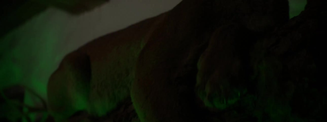 Green lighting illuminates the stuffed taxidermy mount of a big cat
