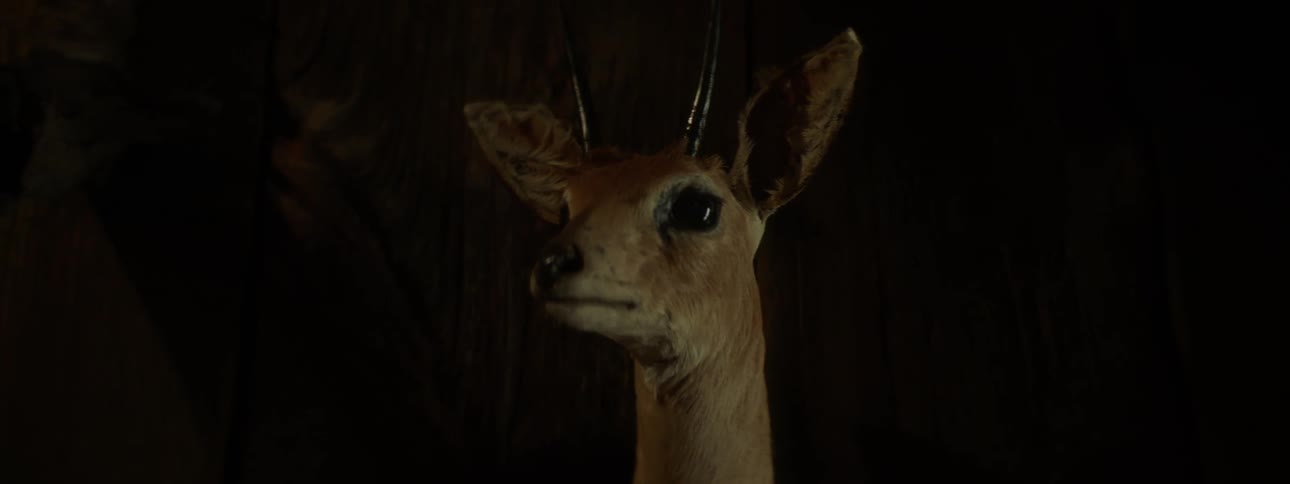 Close up of a realistic deer doll