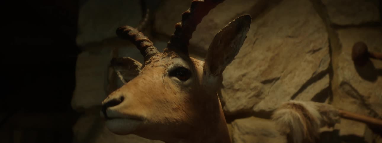 Close up of an artistic horned animals head and wall
