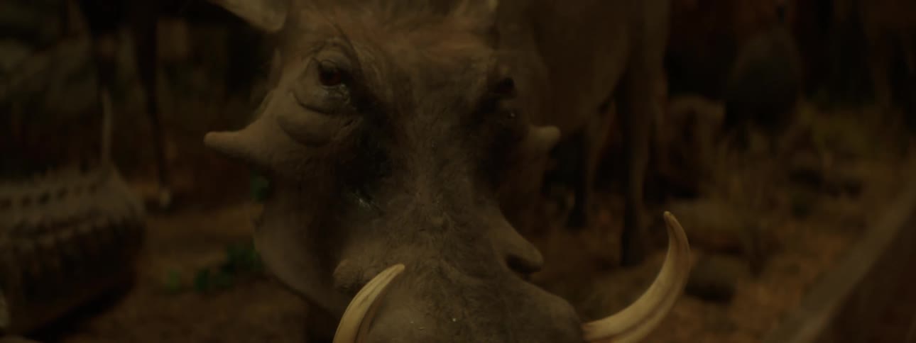 The face of a stuffed wild boar with huge horns