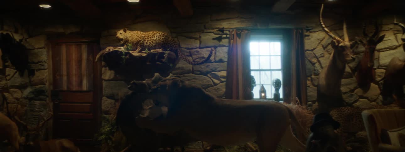 An indoor setting with taxidermy displays featuring mounted antelopes a buffalo and a leopard poised on a ledge set against stone walls with dim warm lighting