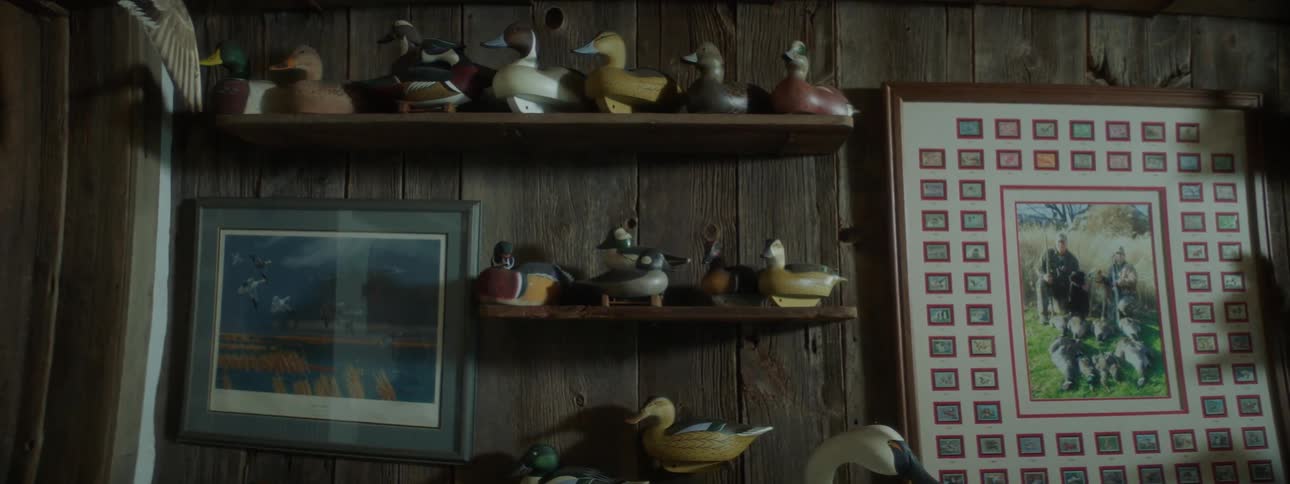 Ceramic ducks on display on wooden shelves
