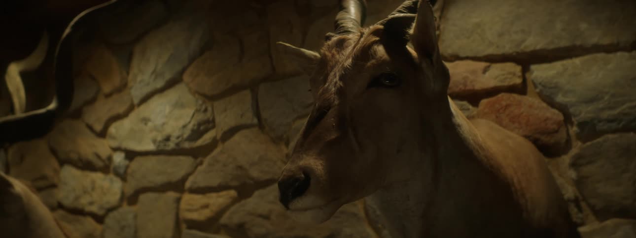 A taxidermied antelope head with long curved horns is mounted on a stone wall