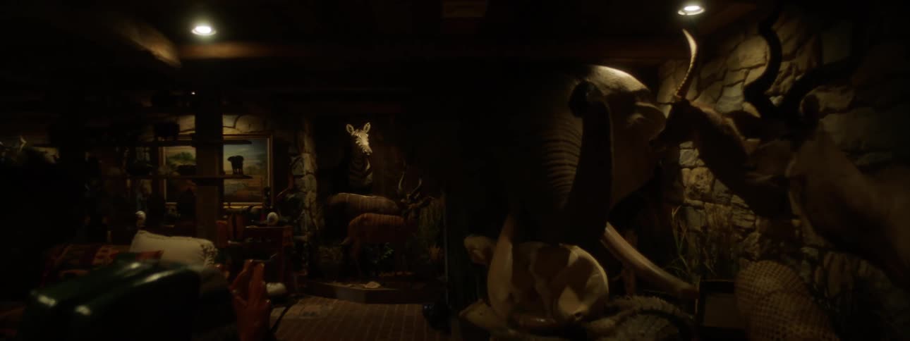 Display of realistic and artistic animals with horns arranged in a dark room and on the walls