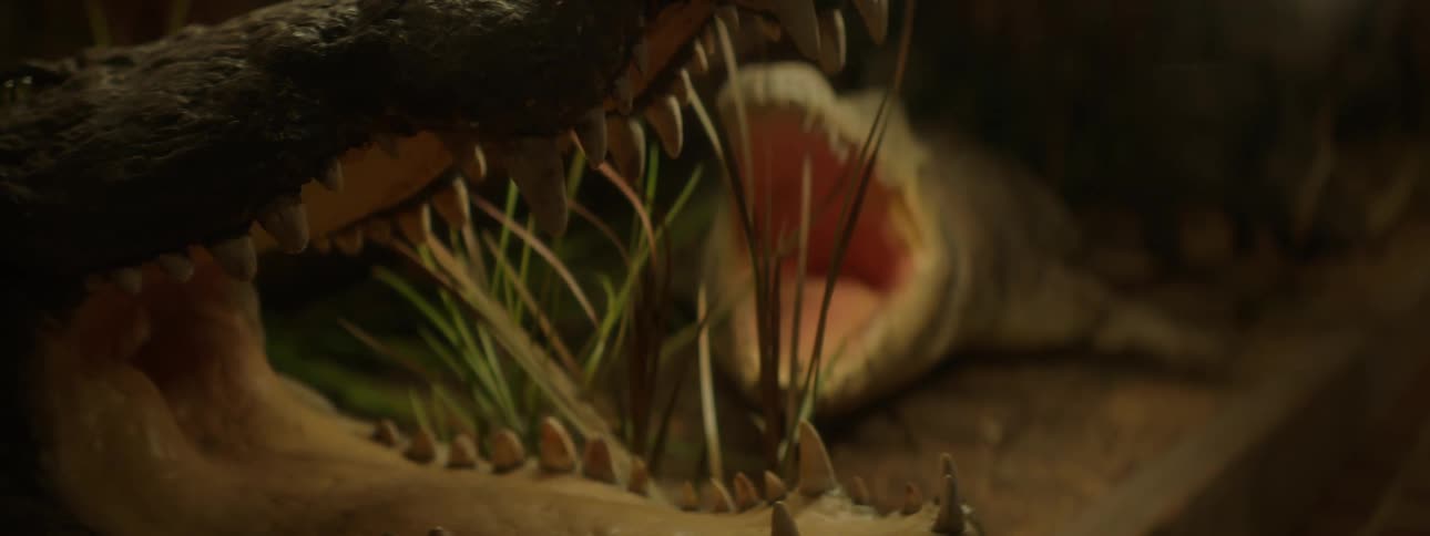 Close up of artistic alligator mouths