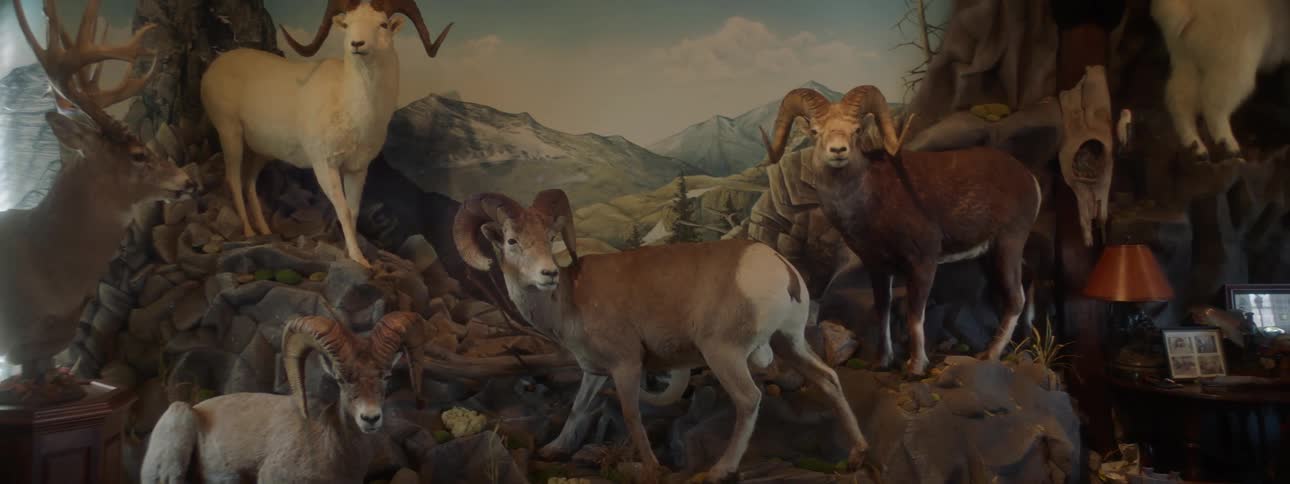 Stuffed rams form a tableau against a painting indoors