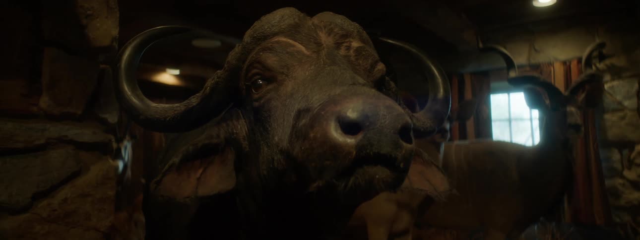 The face of a stuffed buffalo is inside a stone wall and there are some other stuffed animals behind it
