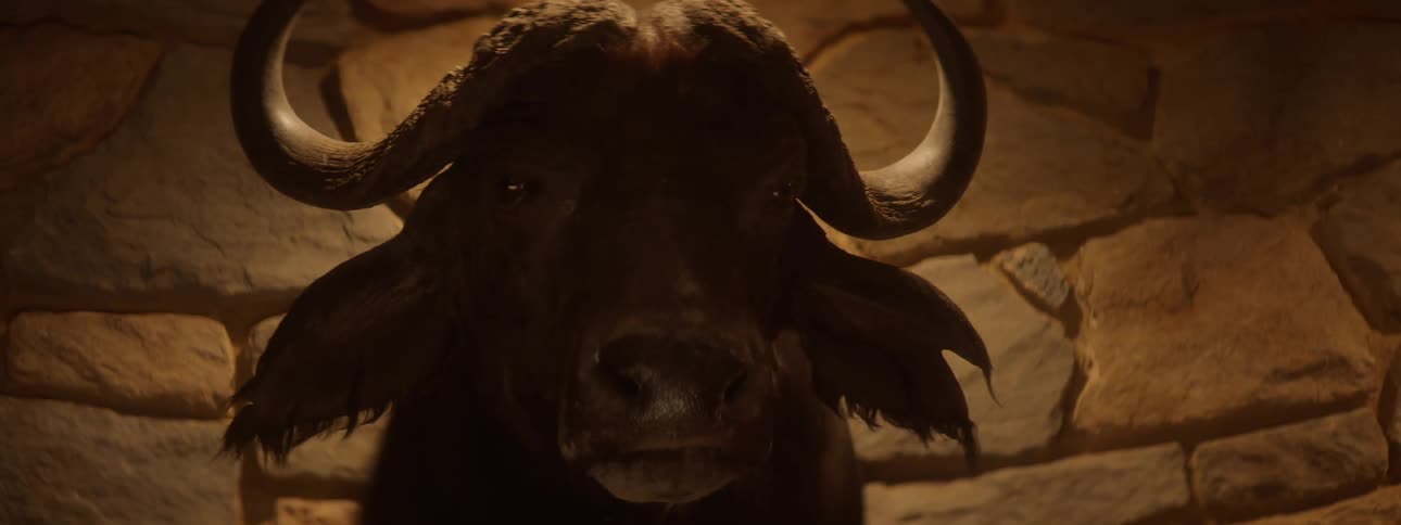 Artistic head of a horned animal nailed to the wall