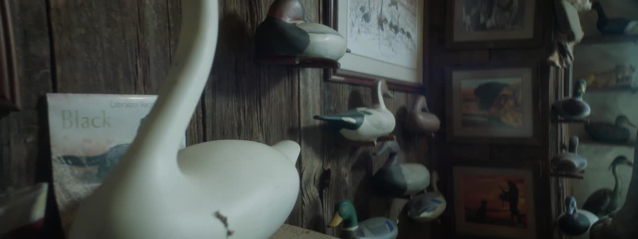 Collection of assorted items displayed on shelves in a store