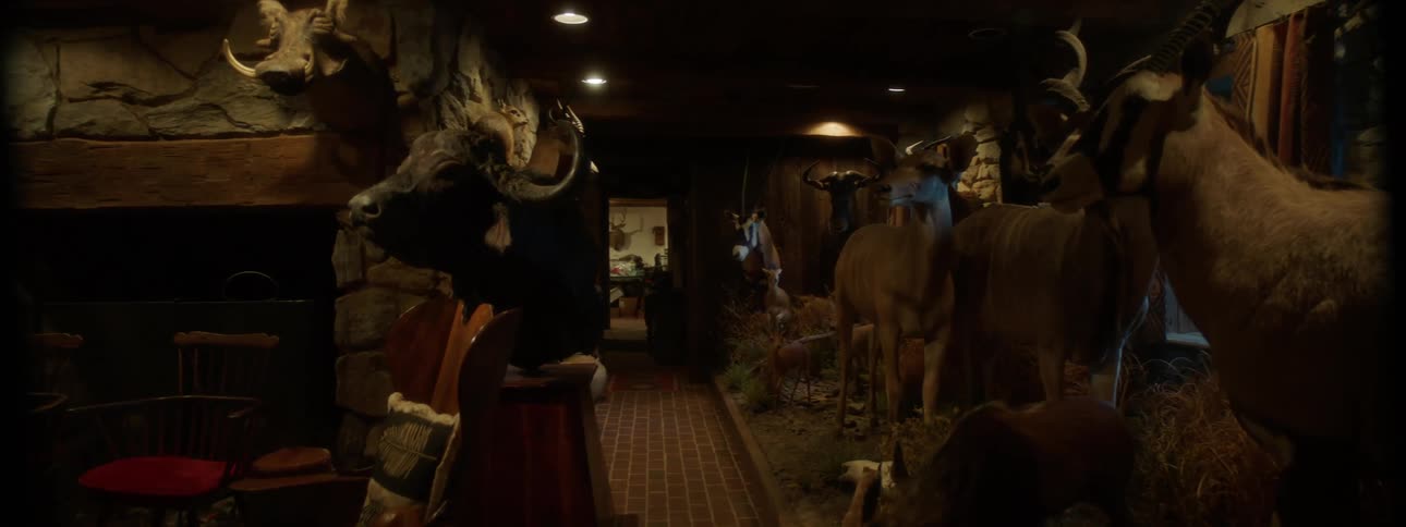 Many stuffed animals form a taxidermy display in a hunting lodge
