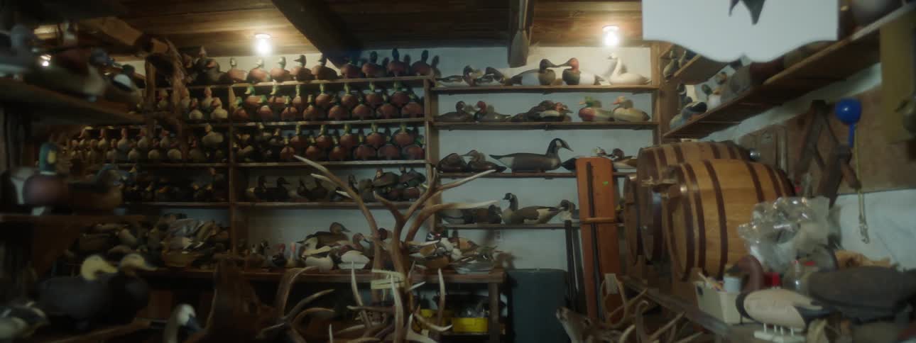 A room filled with taxidermied birds mostly ducks arranged on shelves and displayed alongside antlers and other hunting memorabilia