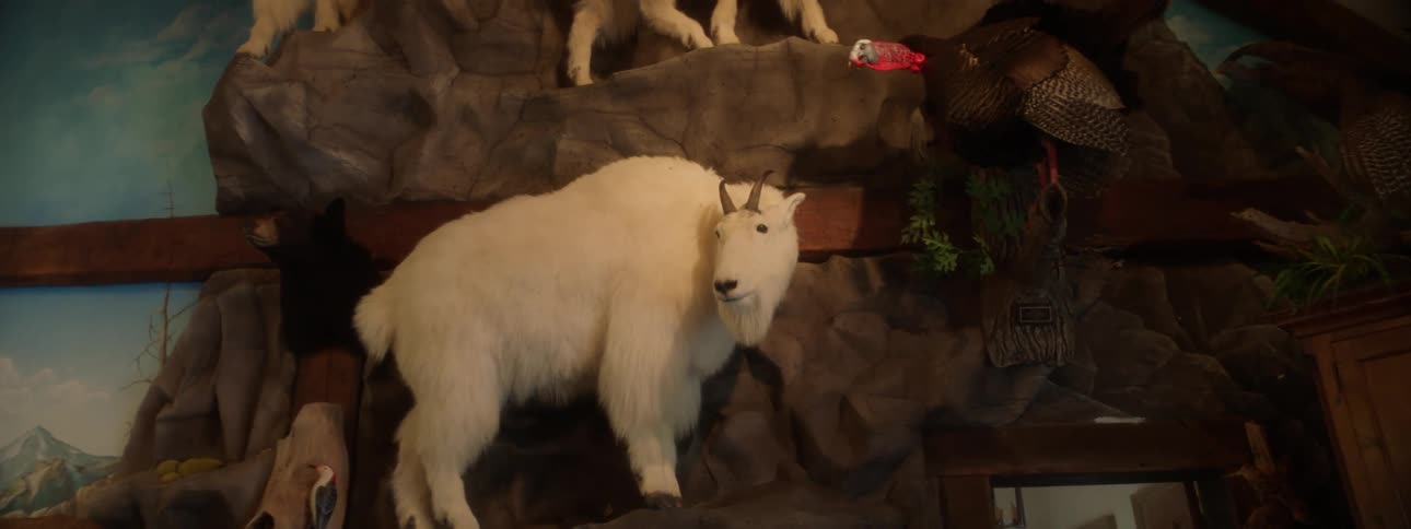Interior design of a museum with realistic and artistic animals arranged on the wall and ceiling
