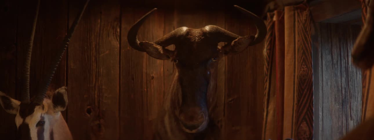 Animal heads with horns on wooden walls