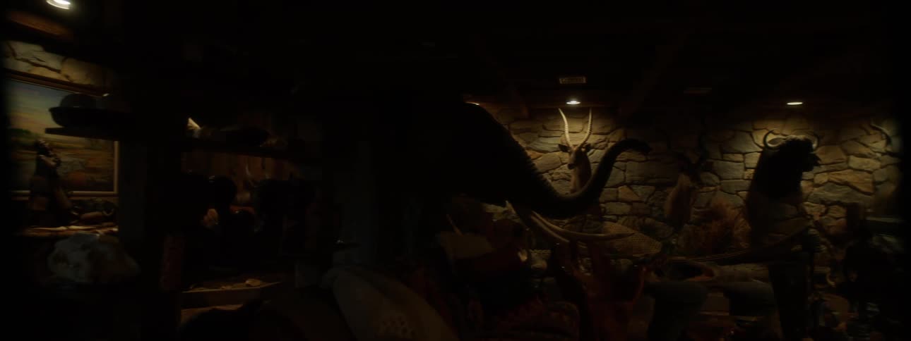 Museum room with animals with artistic horns