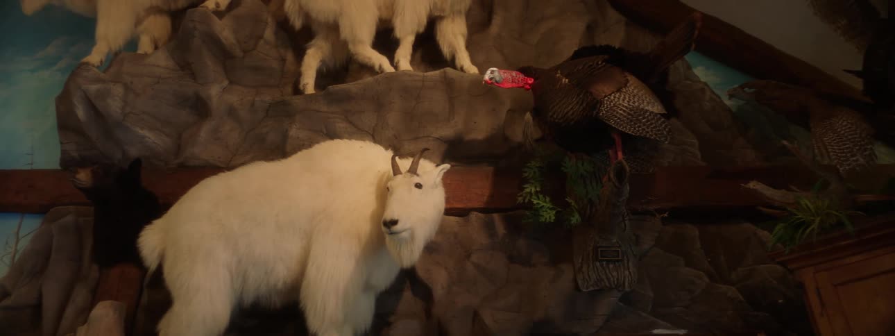 House decorated with animals