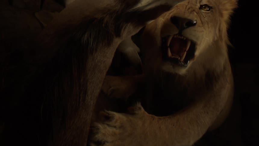 Closeup of a lion hunting an antelope in an artistic and realistic representation