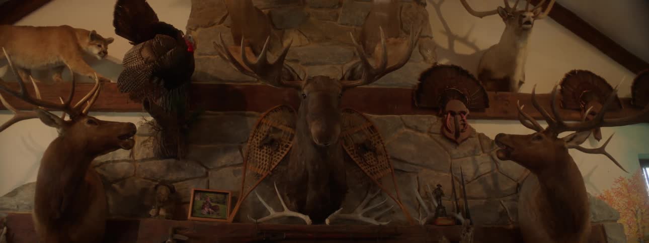 A wall mounted with various taxidermy animals