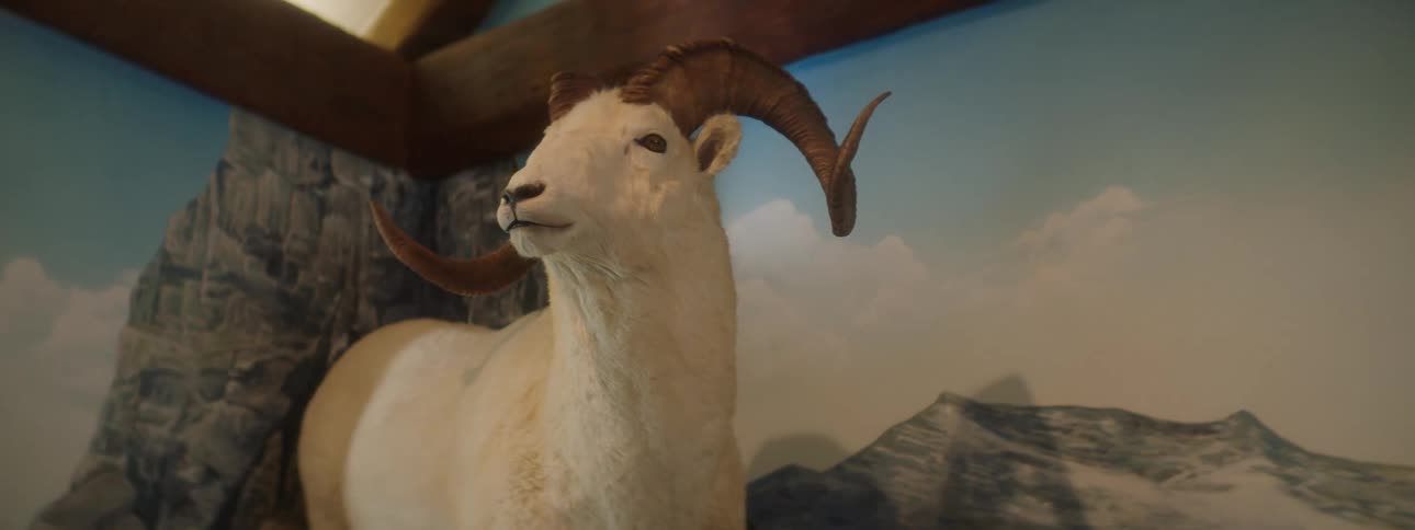 Artistic goat in a museum