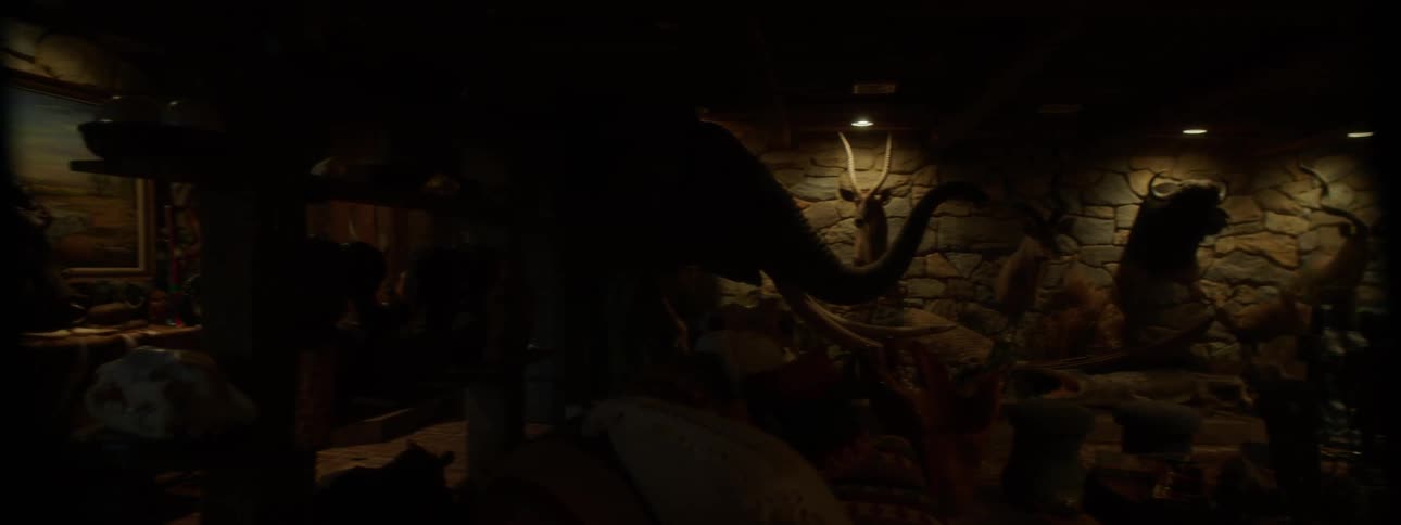 A dimly lit room filled with taxidermied animals and hunting trophies