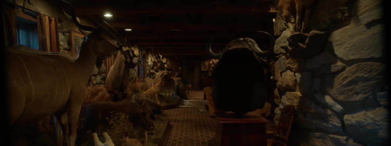 Taxidermy mounts line the interior of a stone walled lodge