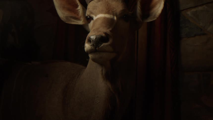 A mounted kudu its large ears and distinctive spiral horns clearly visible in the dim light