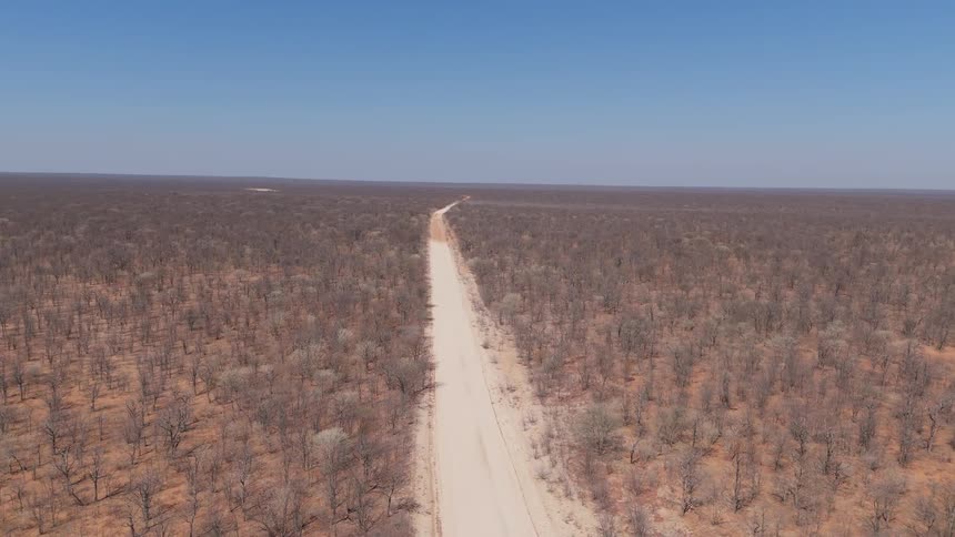 A long straight dirt road stretching through a vast arid landscape with sparse vegetation and a clear blue sky