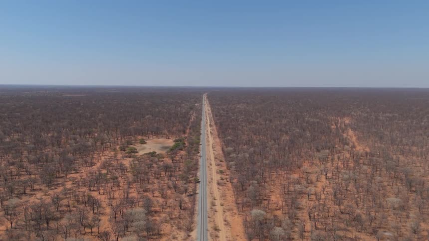 Aerial view of a long train track in a vast forest