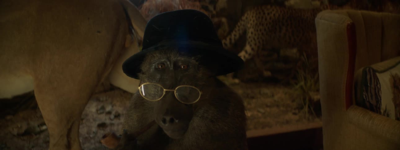 An ape with a hat pipe and glasses in an exhibition of taxidermied animals