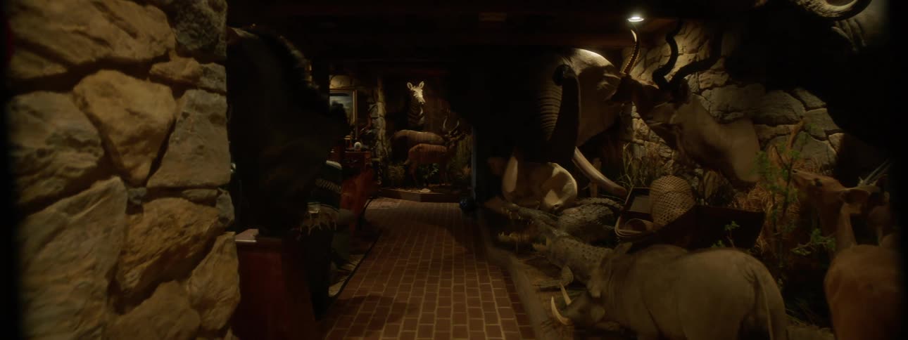 A dimly lit museum hallway filled with mounted taxidermy specimens of various african animals including an elephant buffalo antelope and several smaller species