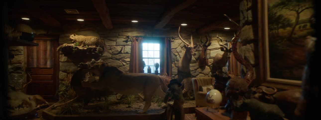 A dimly lit exhibition room filled with displays of taxidermy animals