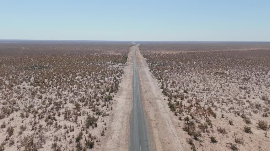 Aerial view of a straight highway in the middle of a desert with sparse vegetation