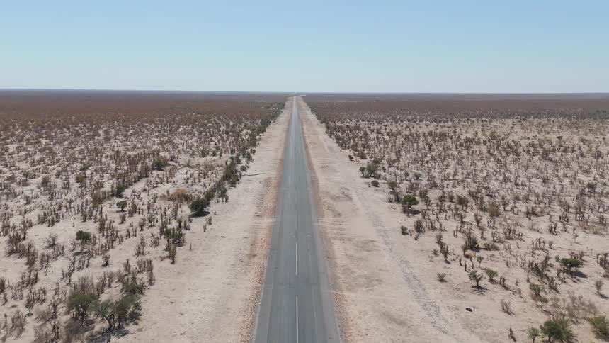 Open road through the desert filled with trees and plants