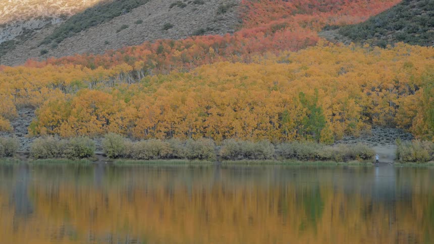 A clip of a lake by the forest