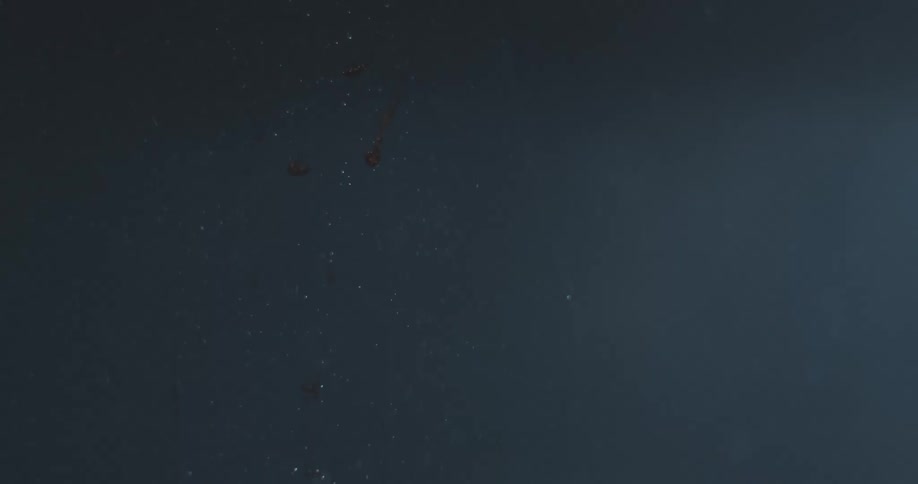 A clip of an underwater