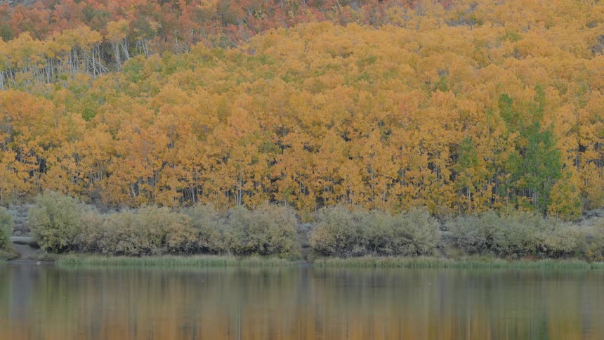 A clip of a lake during autumn